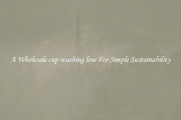  A Wholesale cup washing line For Simple Sustainability 