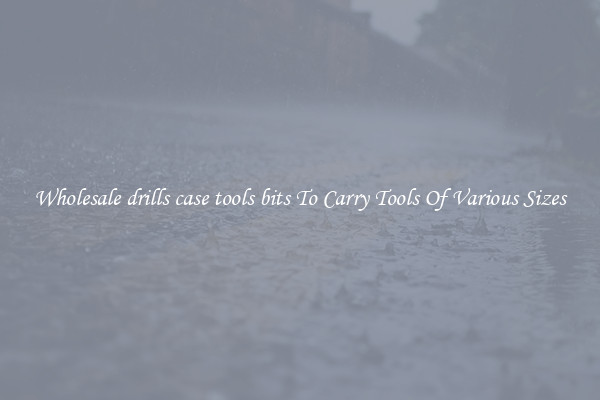 Wholesale drills case tools bits To Carry Tools Of Various Sizes