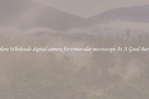 Explore Wholesale digital camera for trinocular microscope At A Good Bargain