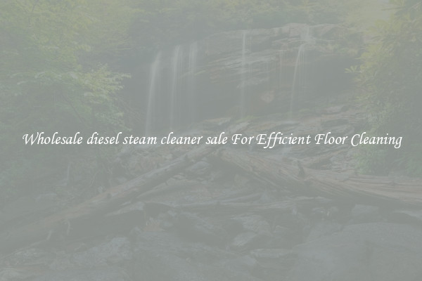 Wholesale diesel steam cleaner sale For Efficient Floor Cleaning
