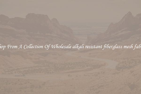 Shop From A Collection Of Wholesale alkali resistant fiberglass mesh fabric