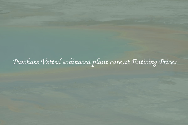 Purchase Vetted echinacea plant care at Enticing Prices