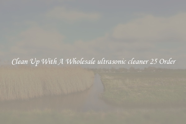 Clean Up With A Wholesale ultrasonic cleaner 25 Order