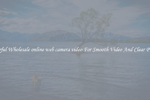 Powerful Wholesale online web camera video For Smooth Video And Clear Pictures