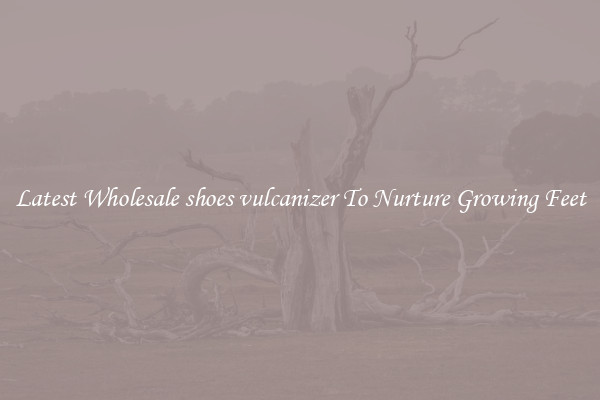 Latest Wholesale shoes vulcanizer To Nurture Growing Feet