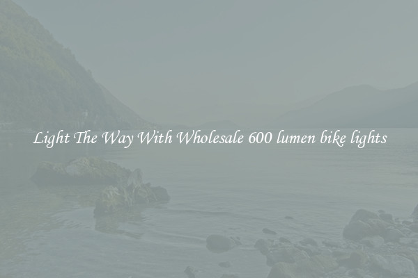 Light The Way With Wholesale 600 lumen bike lights