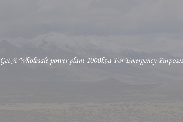 Get A Wholesale power plant 1000kva For Emergency Purposes