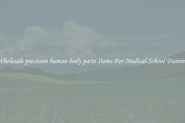 Wholesale precision human body parts Items For Medical School Training