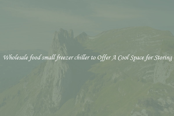 Wholesale food small freezer chiller to Offer A Cool Space for Storing