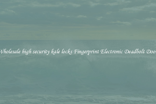 Wholesale high security kale locks Fingerprint Electronic Deadbolt Door 