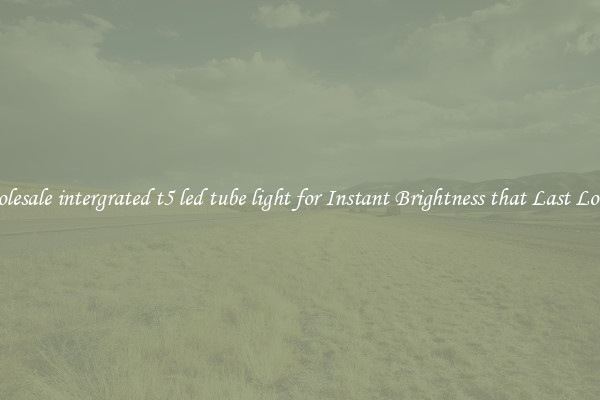 Wholesale intergrated t5 led tube light for Instant Brightness that Last Longer