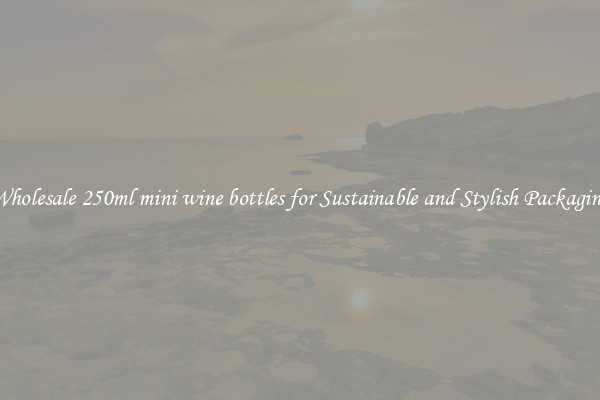 Wholesale 250ml mini wine bottles for Sustainable and Stylish Packaging