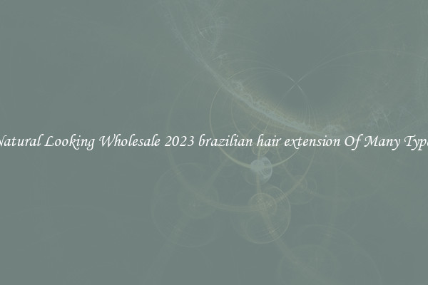 Natural Looking Wholesale 2023 brazilian hair extension Of Many Types
