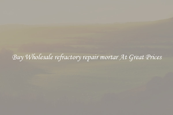 Buy Wholesale refractory repair mortar At Great Prices