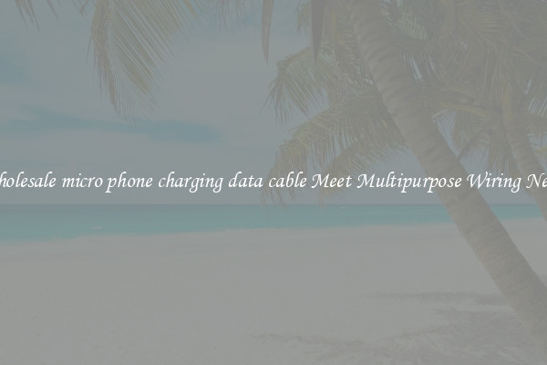 Wholesale micro phone charging data cable Meet Multipurpose Wiring Needs