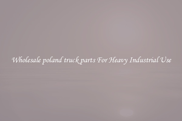 Wholesale poland truck parts For Heavy Industrial Use