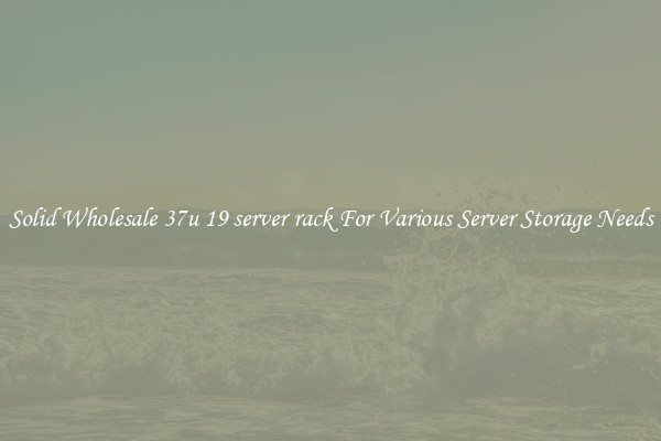 Solid Wholesale 37u 19 server rack For Various Server Storage Needs