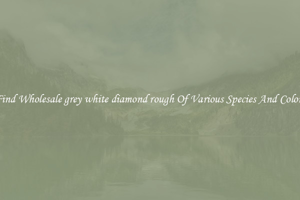 Find Wholesale grey white diamond rough Of Various Species And Colors