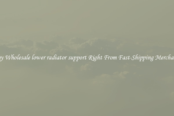 Buy Wholesale lower radiator support Right From Fast-Shipping Merchants
