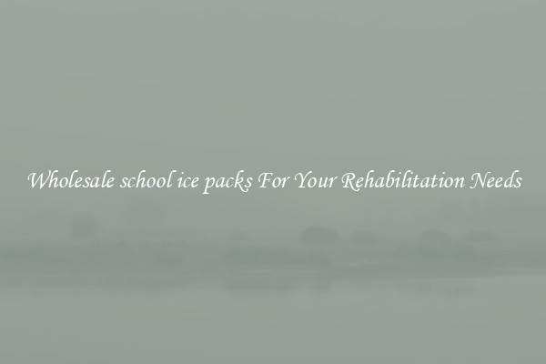 Wholesale school ice packs For Your Rehabilitation Needs