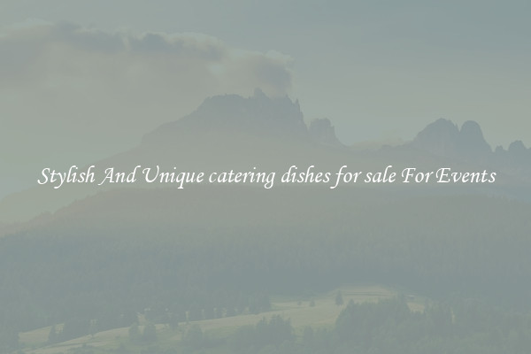 Stylish And Unique catering dishes for sale For Events
