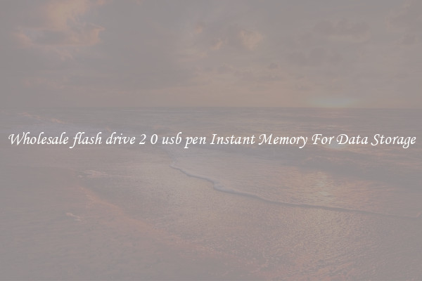 Wholesale flash drive 2 0 usb pen Instant Memory For Data Storage