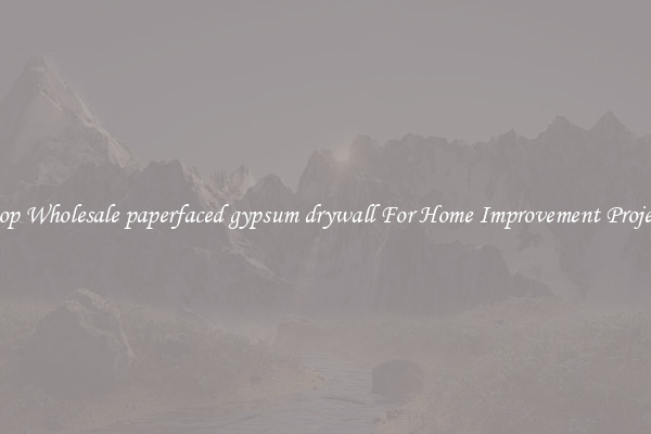 Shop Wholesale paperfaced gypsum drywall For Home Improvement Projects